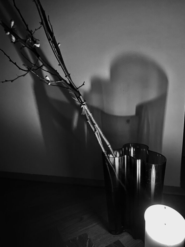 LeConstellation Titelbild